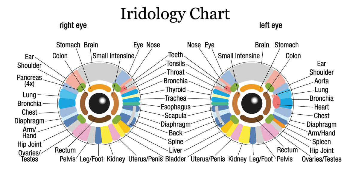 iridology